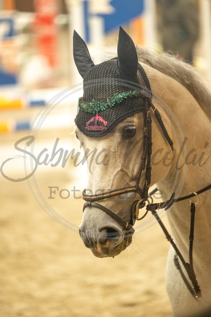 994A6137 | sabrinanicolaifotografie - Realisiert mit Pictrs.com