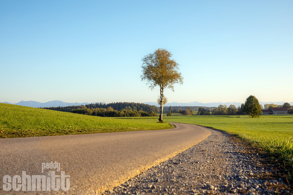 PS-Wege-2026-24 | Entdecke die größte Bildgalerie der Region mit Fotografien aus dem Allgäu, der Bodenseeregion, Oberschwaben, dem Donautal und der Schwäbischen Alb. Landschaften, Luftaufnahmen und Reisefotografie als Wandbild und Fotokunst. - Realisiert mit Pictrs.com