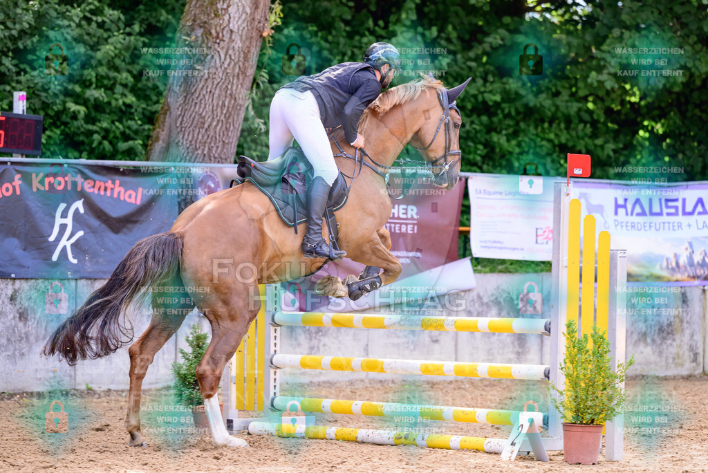 30082026-Giesenbach-Prfg16-0523 | Fokus Hufschlag Fotografie - Realisiert mit Pictrs.com