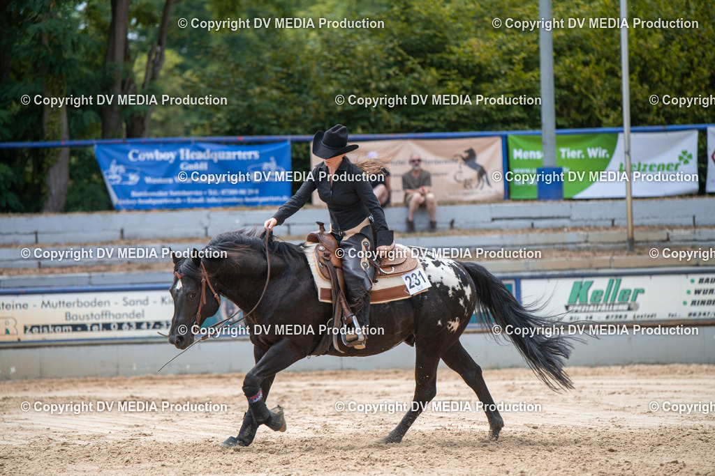 ZS3_9950 | dv-media-shop - Realisiert mit Pictrs.com