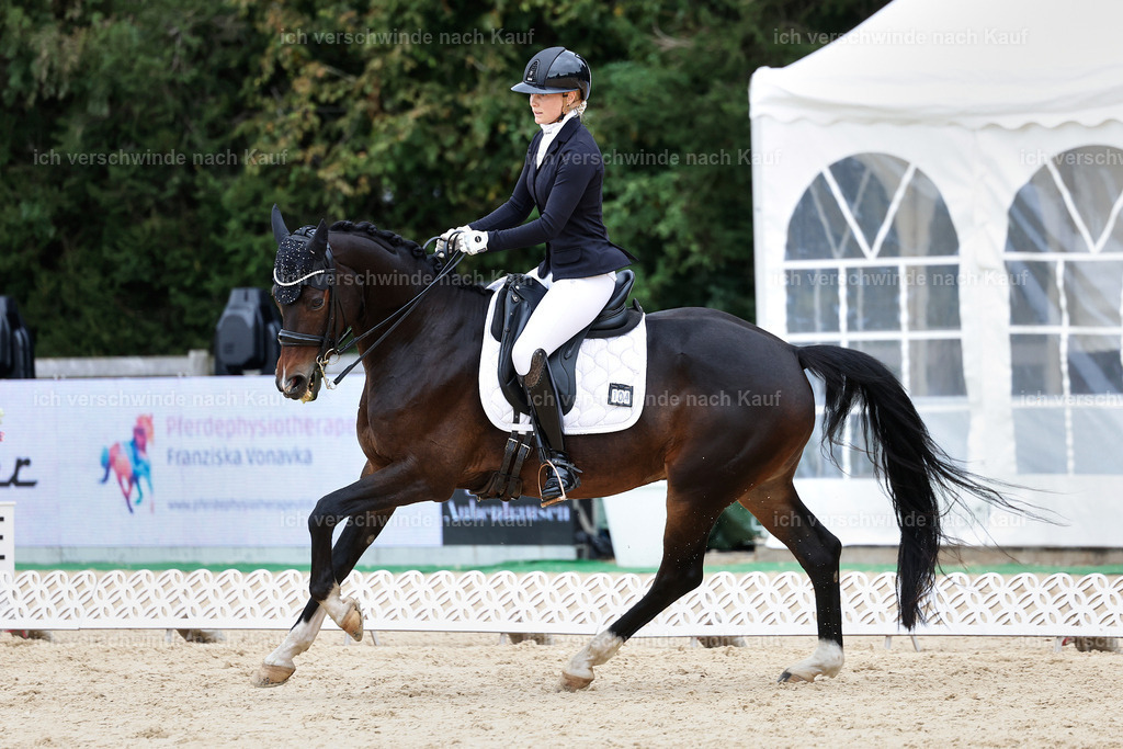 3-104-Dressur M_-StoibPH-2463 | working equitationturnier fotograf videograf stoibphotography marixx film working equitation deutschland reitsport turnierfotografie eventfotografie equestrian events
