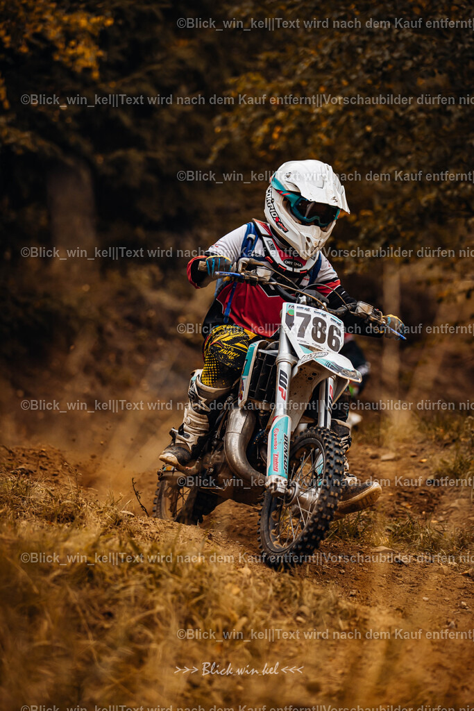 E68A3713 | blick_win_kel