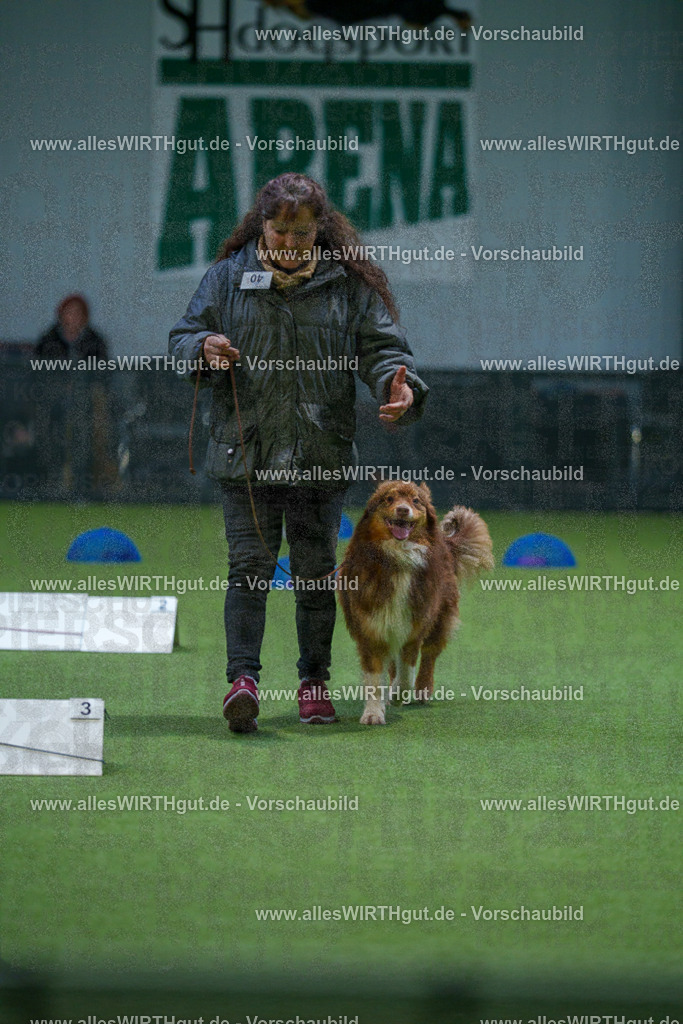 7R501183 | Professionelle Tierfotografie in Mönchengladbach von Daniel Wirth (allesWIRTHgut). Liebevolle & natürliche Bilder von Hunden & Katzen für unvergessliche Erinnerungen.
