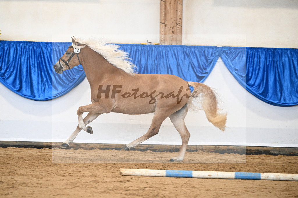 Bl. Band Kat-Nr. 12 Baghira v. Schampus_Czernoch_48251479 | hf-fotografie - Realisiert mit Pictrs.com