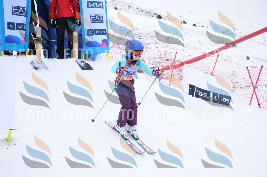 DSC_8285 | holidayphoto