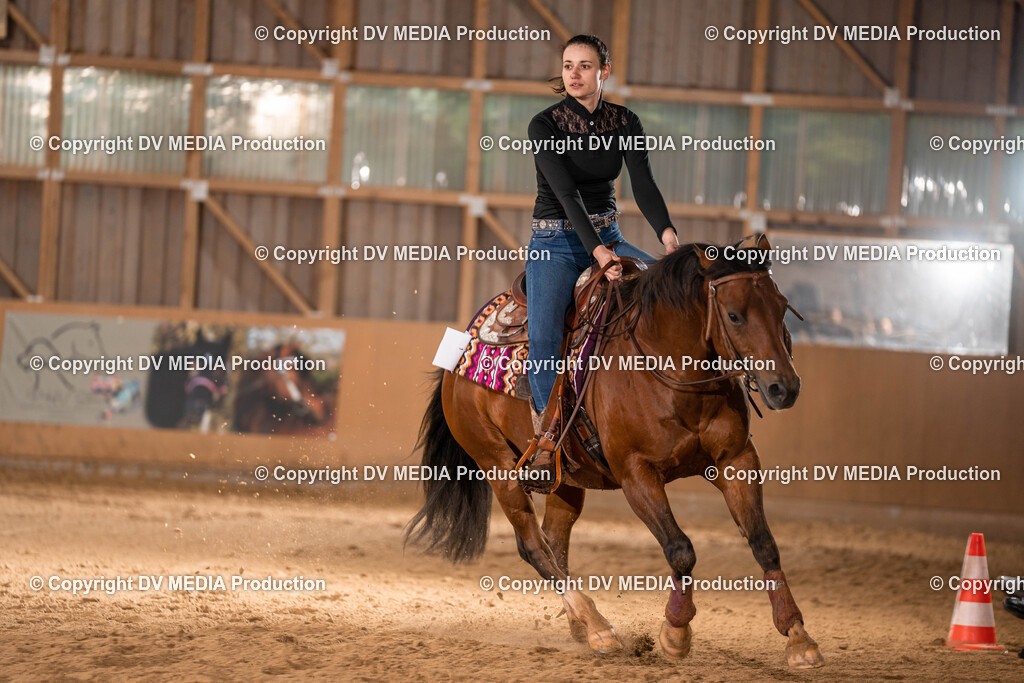 Losheim Tag 1-698 | dv-media-shop - Realisiert mit Pictrs.com