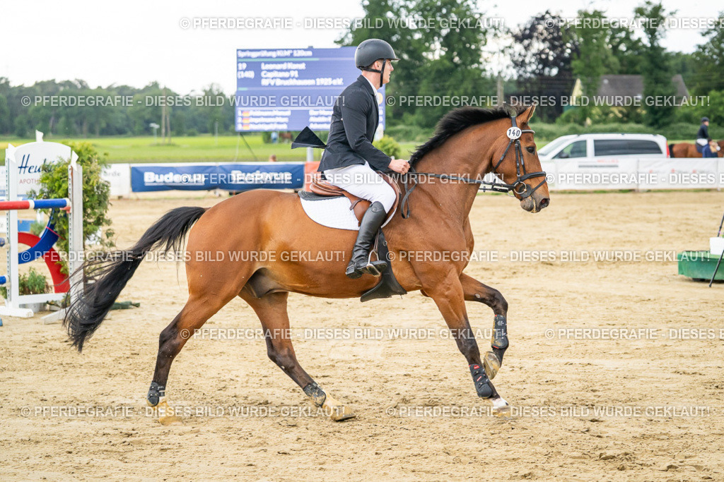 DSC06608 | Pferdegrafie