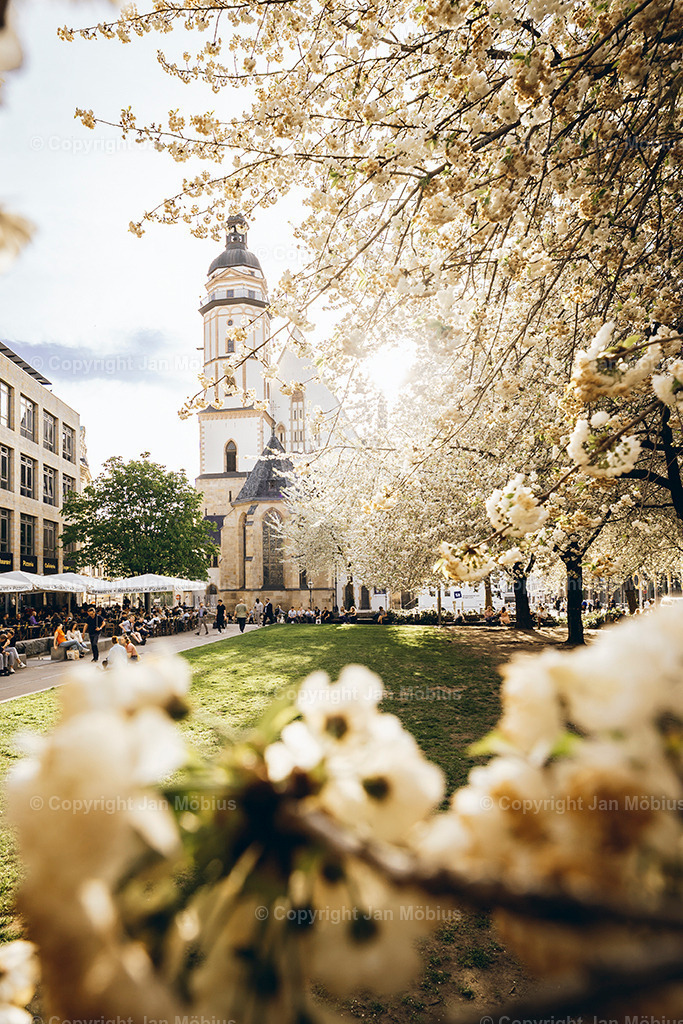 _DSC1507 | Leipzig Wandbilder Drucke Prints Leinwand Stadtmotive Leipzig Fotosdruck Kunstdrucke Bilder Leipzig Stadtansichten Acrylglasbilder Leipzig Wanddeko Fine Art Prints Wandbilder Büro Leipzig Bilder Praxis Zuhause Bilderdruck Poster Posterlounge Kunstdrucke - Realisiert mit Pictrs.com