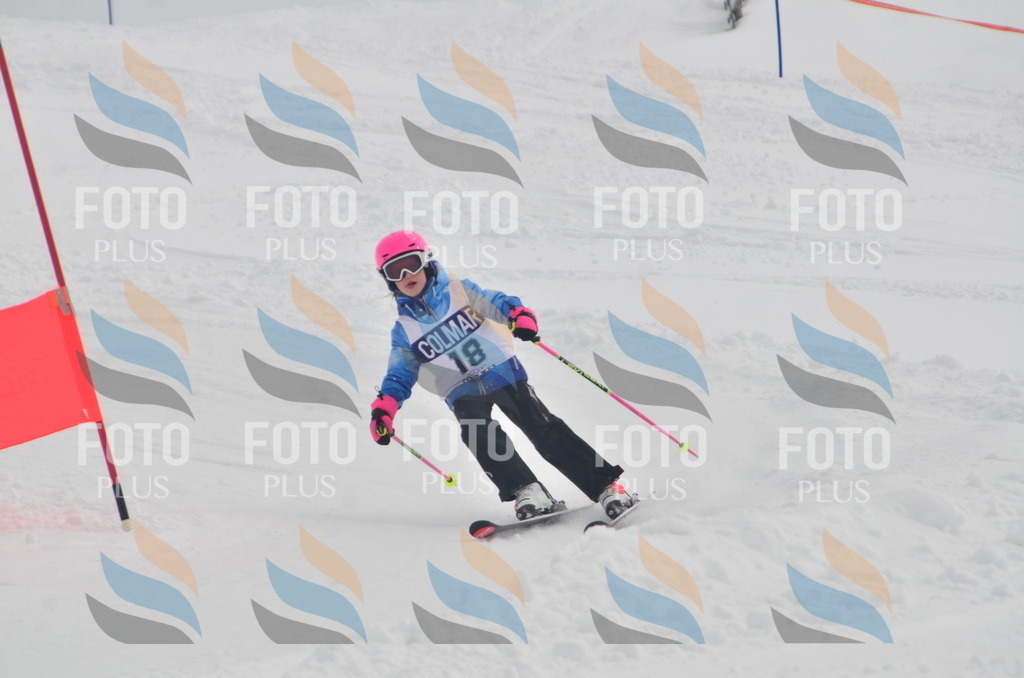 A5134 | holidayphoto