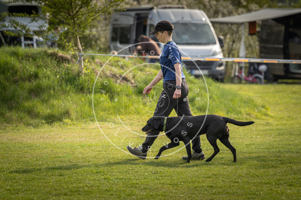 Pfotenfotografie_DV3A4887 | Hundefotografie, Tierfotograf, Pfotenfotografie, Fotoshooting Hund, Hunde Portrait, Hundesport, Hundeportraits, Heideshooting, Hunde, Sportfotograf, Hundefotograf, Turnierhundsport, THS,  - Realisiert mit Pictrs.com