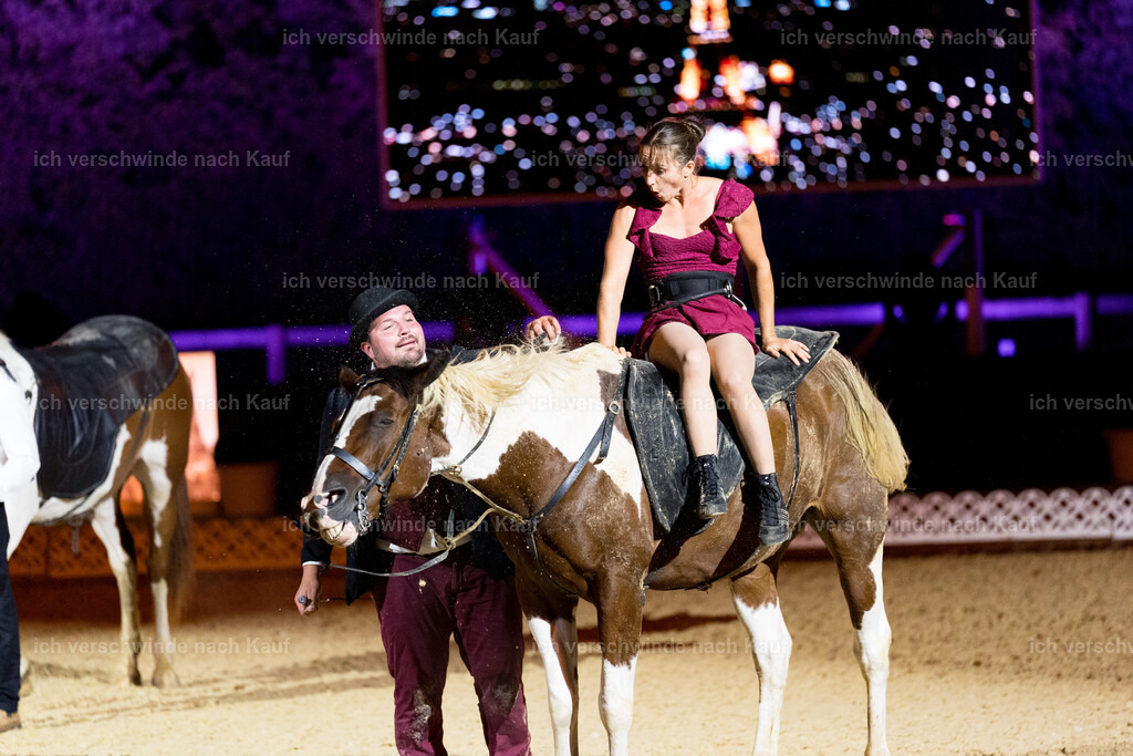 Gala-45 | working equitationturnier fotograf videograf stoibphotography marixx film working equitation deutschland reitsport turnierfotografie eventfotografie equestrian events
