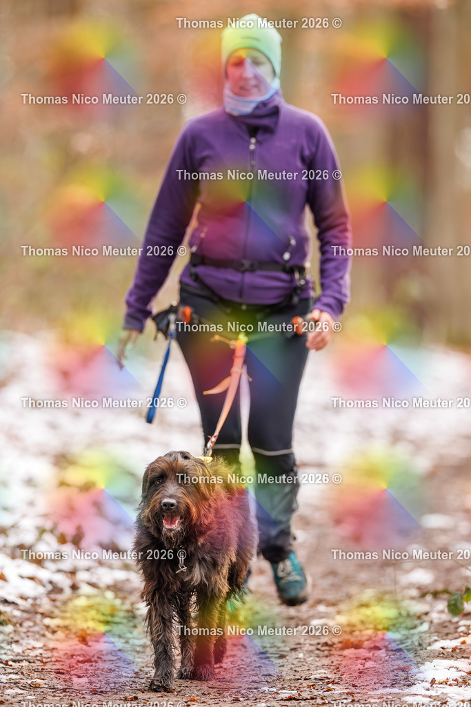 Thomas_Nico_Meuter(C)_223A9402 | Bild von Thomas Nico Meuter - Realisiert mit Pictrs.com