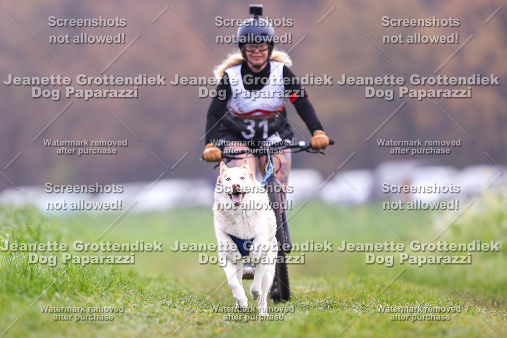 Dog Paparazzi - Visbeck 25 -326 | Dog Paparazzi Jeanette Grottendiek Fotografie & Videografie - Realisiert mit Pictrs.com