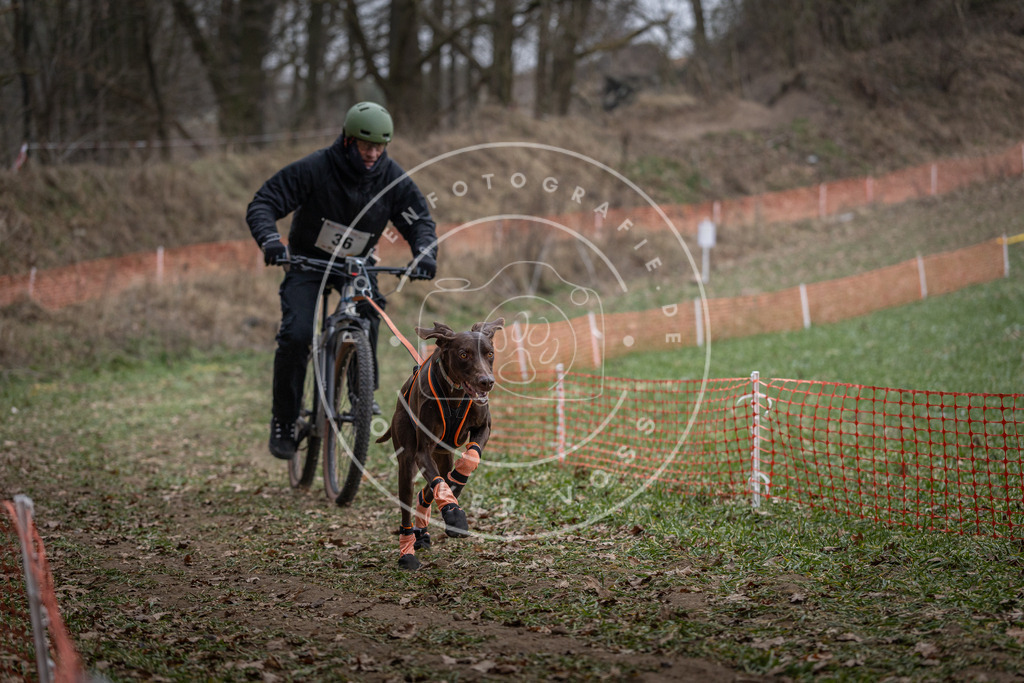 Pfotenfotografie_DV3A9727 | Hundefotografie, Tierfotograf, Pfotenfotografie, Fotoshooting Hund, Hunde Portrait, Hundesport, Hundeportraits, Heideshooting, Hunde, Sportfotograf, Hundefotograf, Turnierhundsport, THS,  - Realisiert mit Pictrs.com