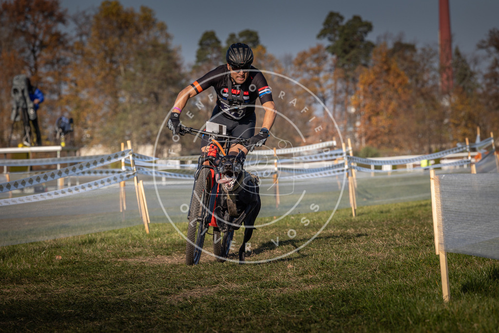 CaniXpix_0L8A6520 | Hundefotografie, Tierfotograf, Pfotenfotografie, Fotoshooting Hund, Hunde Portrait, Hundesport, Hundeportraits, Heideshooting, Hunde, Sportfotograf, Hundefotograf, Turnierhundsport, THS,  - Realisiert mit Pictrs.com
