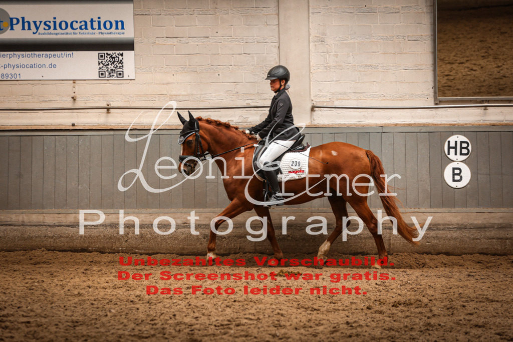 5.SoDrE00246 | Leoni Ertmer Photography - Realisiert mit Pictrs.com