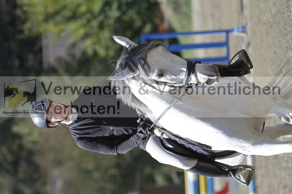 _MG_6276 | equestrian-live-com
