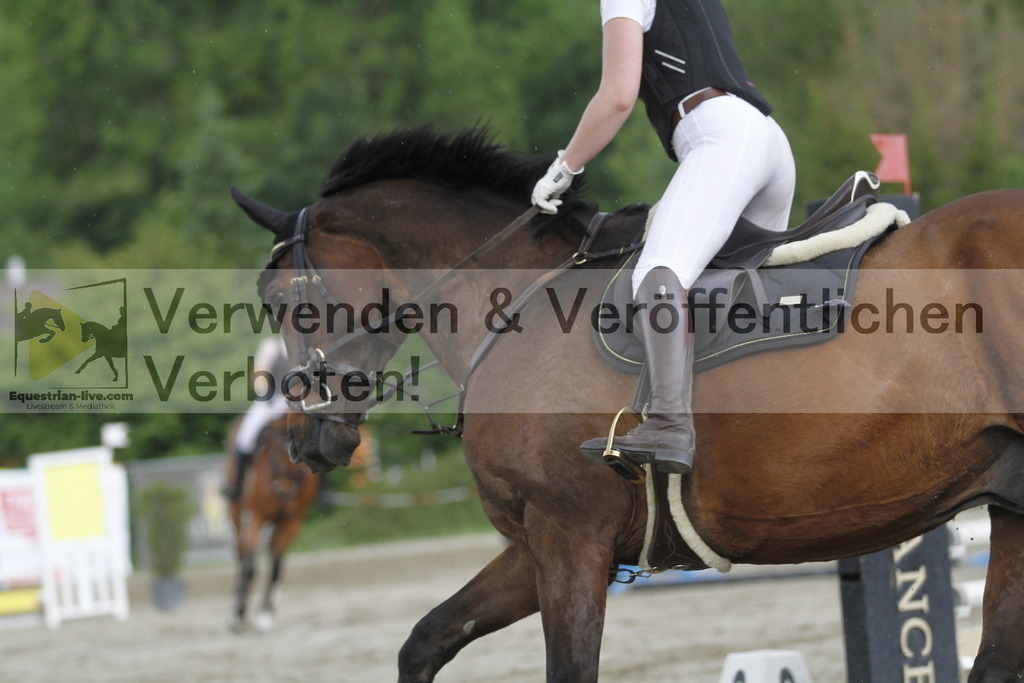 _MG_6546 | equestrian-live-com