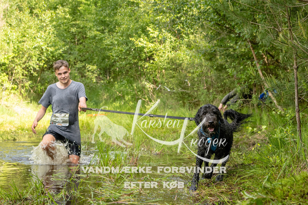 0940DKK9_ZZ92651 | kk-dogfotos