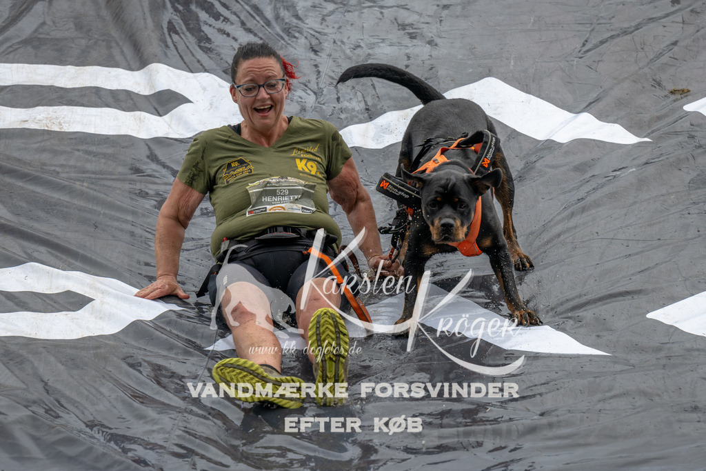 1545_ZZ90334 | kk-dogfotos