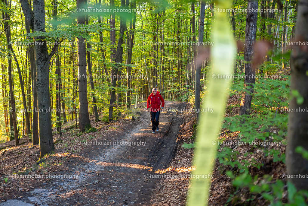 fuernholzer_251004-C3-140 | © Christian Fuernholzer | fuernholzer photography