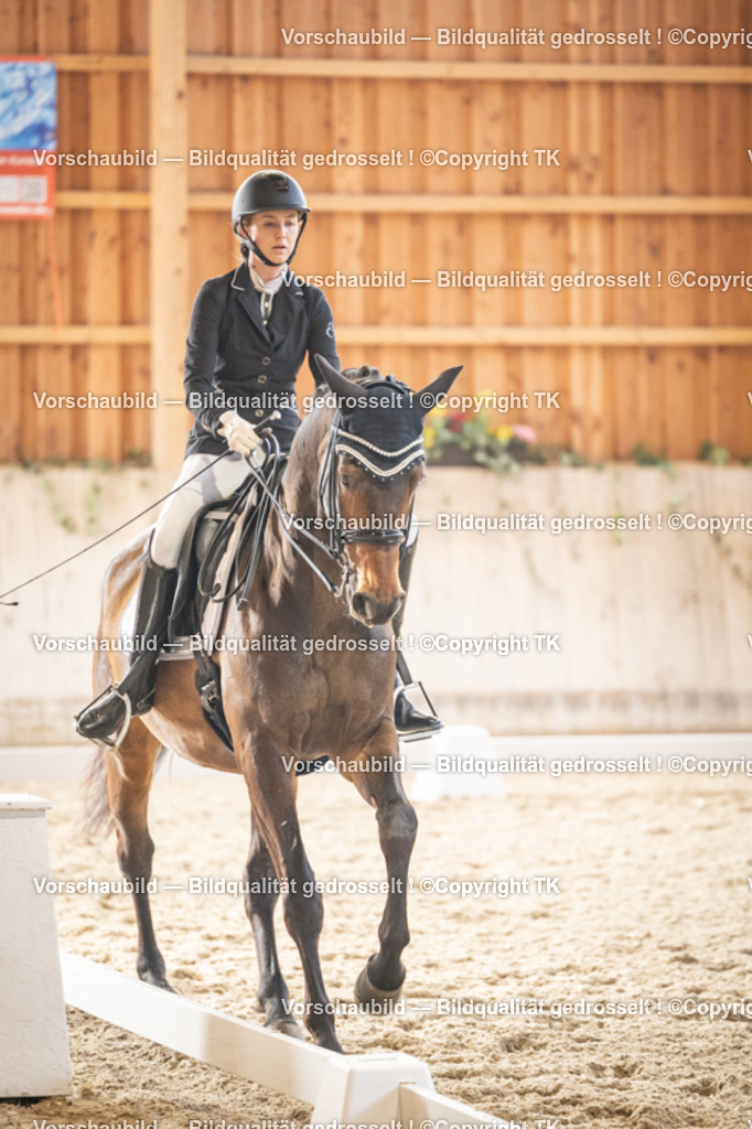 _D5A9317 | Emotionale Pferde- & People-Fotografie rund um Heidelberg, Leimen & Umgebung. Natürliche Fotos von Pferd, Mensch & Familie. Jetzt Termin sichern!