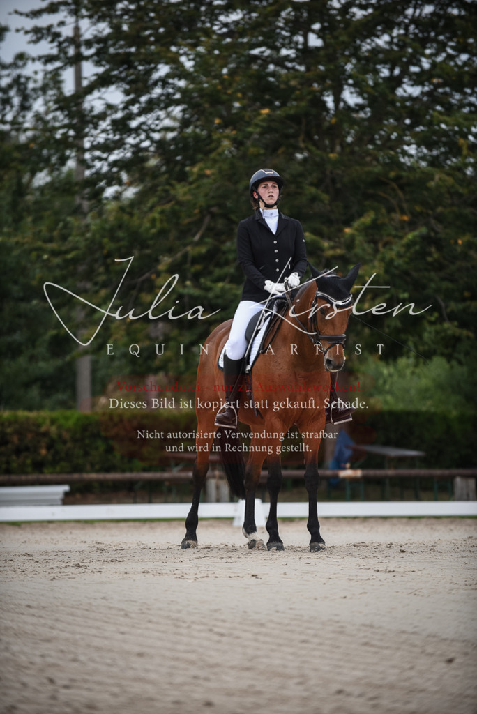 DSC_7991 | Pferde- und Turnierfotografie in Westsachsen. Pferdeportraits, Auftragszeichnungen und intuitive Kunst.