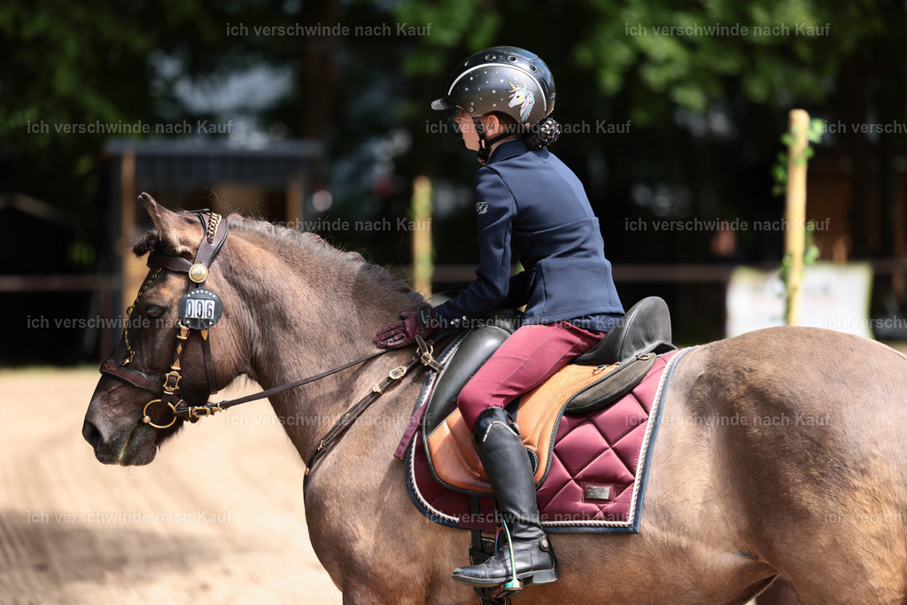 KlasseA_Stoibphotography_C2_L5701.JPG | working equitationturnier fotograf videograf stoibphotography marixx film working equitation deutschland reitsport turnierfotografie eventfotografie equestrian events