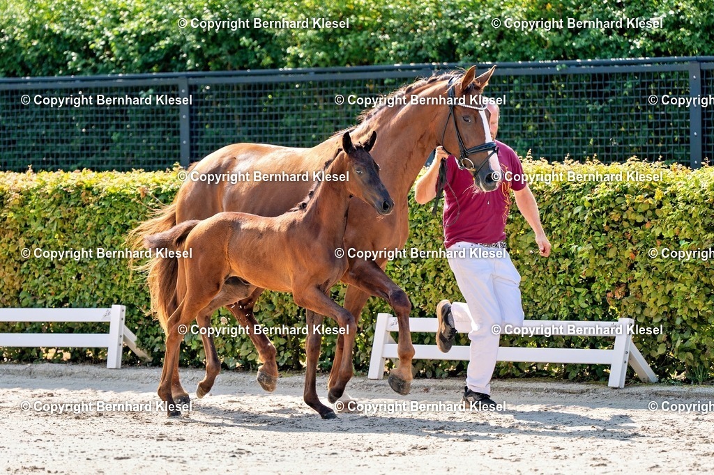 2A908882 | foto-team-bernhard - Realisiert mit Pictrs.com