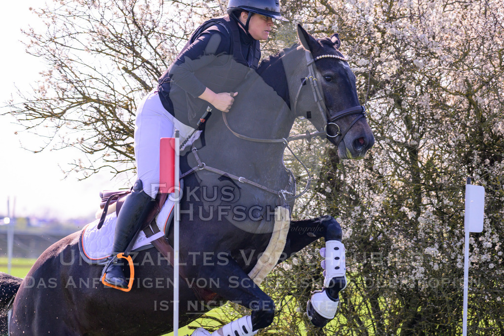 18042026-Gernlinden-03-0436 | Fokus Hufschlag Fotografie - Realisiert mit Pictrs.com