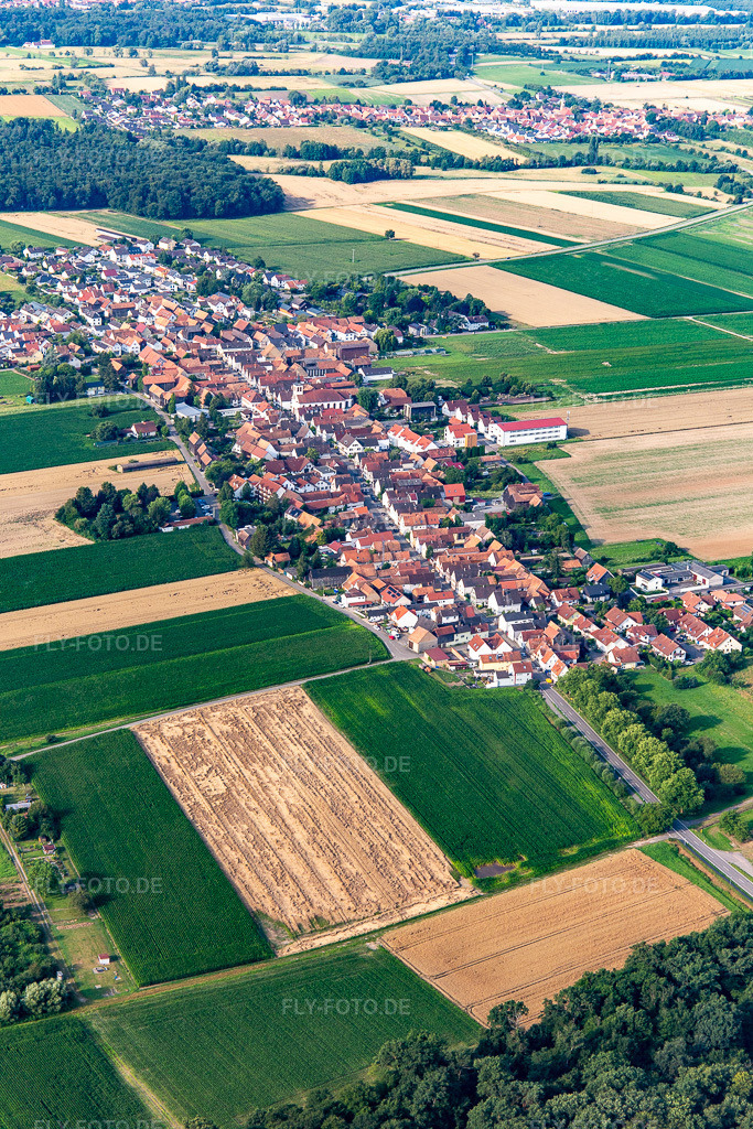 Luftbild: Ortsansicht von Nordosten im Ortsteil Hayna in Herxheim im Bundesland Rheinland-Pfalz in Deutschland. Foto: IMG_142887.jpg vom 19.07.2024 durch Werner Riehm/FLY-FOTO.de
