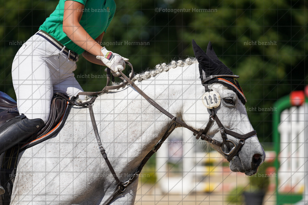 20240824-FAH08363 | Thierhaupten 2024, Bayerisches Landesponyturnier, Turnierbilder, Ponybilder, Turnierfotografen Bayern, Fotoagentur Herrmann