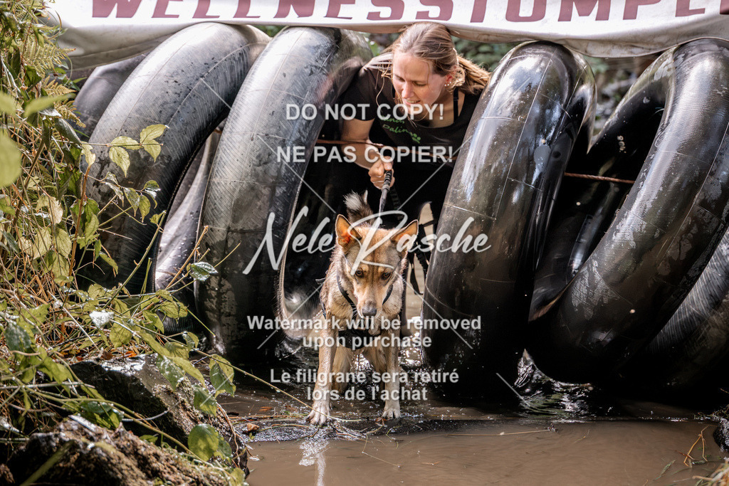 nelerasche_Hunsrück2026_Sa1400-1500_264 | nelerasche