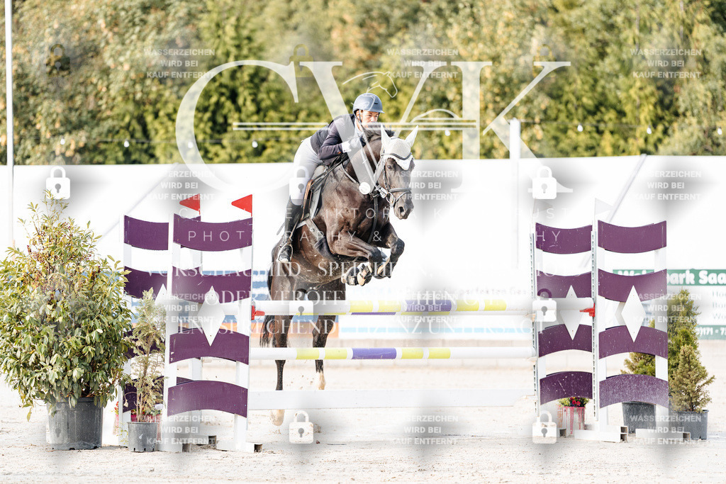 CK903209 | Turnierfotografie Pferdefotografie Trier Rheinland-Pfalz Pferdesport Reitsport Tierfotografie Sportfotografie Pferdevideo Pferdevideografie Equestrianvideography equestrianphotography  - Realisiert mit Pictrs.com