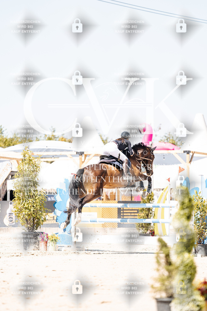 CK909834 | Turnierfotografie Pferdefotografie Trier Rheinland-Pfalz Pferdesport Reitsport Tierfotografie Sportfotografie Pferdevideo Pferdevideografie Equestrianvideography equestrianphotography  - Realisiert mit Pictrs.com