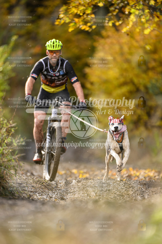 MompixPhotography_ICF_WC_2024_SA_Bike_-321 | PayLife