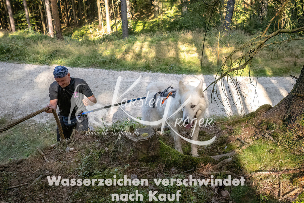 1052_ZZ93258 | kk-dogfotos