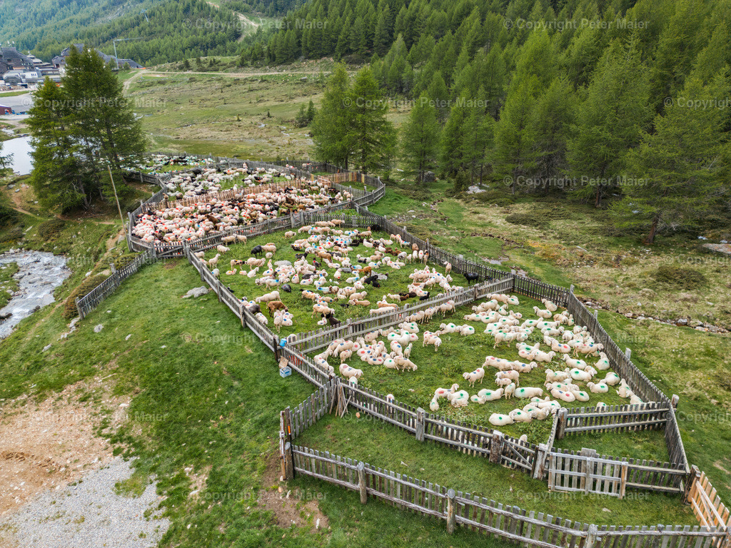 Tonzhaus_Wanderhotels_Juni_2024-789 | piet_flosse