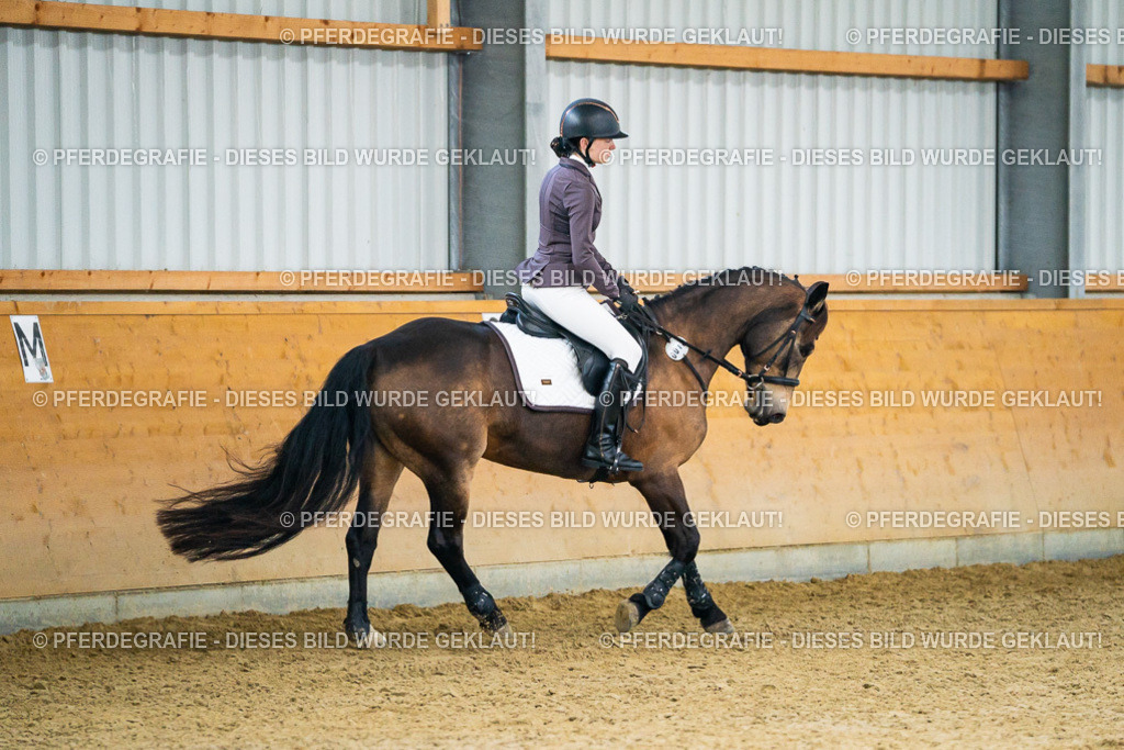 DSC00591 | Pferdegrafie