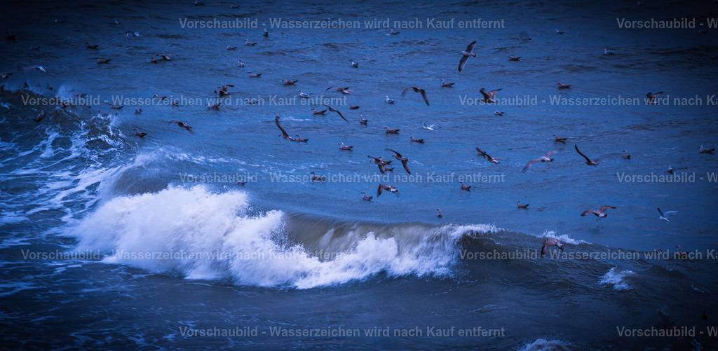 DSC00434 | marcuslinek