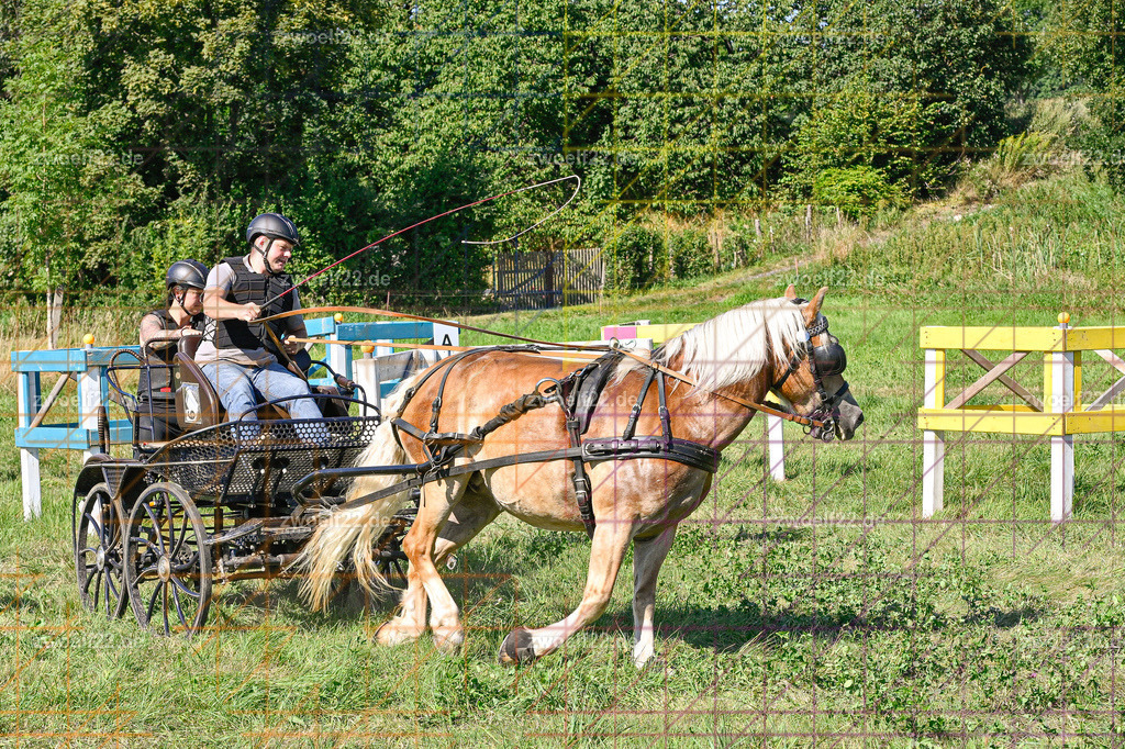 30 Jahre RFV Pulsnitz e.V., Pulsnitz am 09.08.2026 | 30Jahre Reit- und Fahrverein Pulsnitz e.V., Pulsnitz am 08.08.2026Zur 28. breitensportlichen Veranstaltung des RFV Pulsnitz e.V. fanden verschiedene Wettbewerbe in nahezu allen Disziplinen des Pferdesport statt.- Geländefahr-Wettbewerb - Realisiert mit Pictrs.com