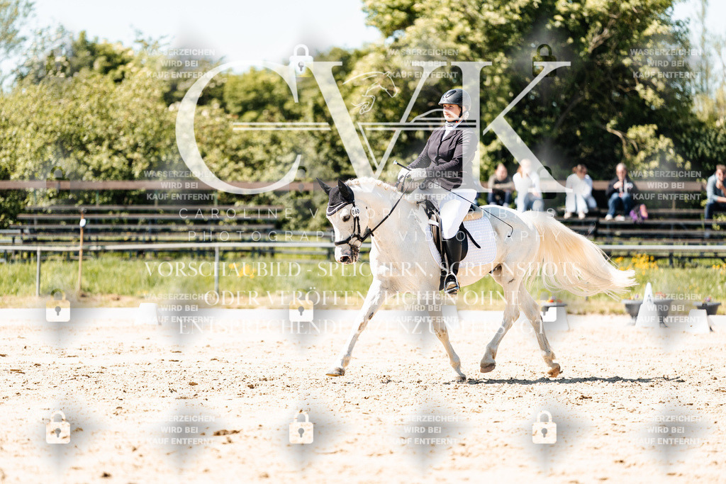 CK905489 | Turnierfotografie Pferdefotografie Trier Rheinland-Pfalz Pferdesport Reitsport Tierfotografie Sportfotografie Pferdevideo Pferdevideografie Equestrianvideography equestrianphotography  - Realisiert mit Pictrs.com