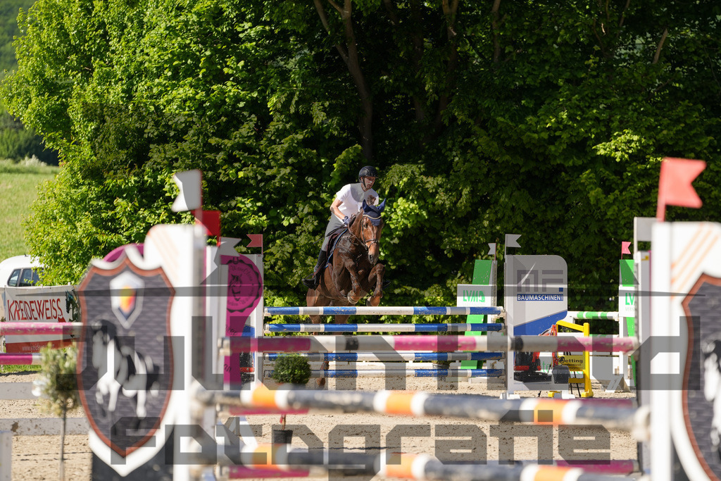 DSC02432 | Julian Held Fotografie - Realisiert mit Pictrs.com