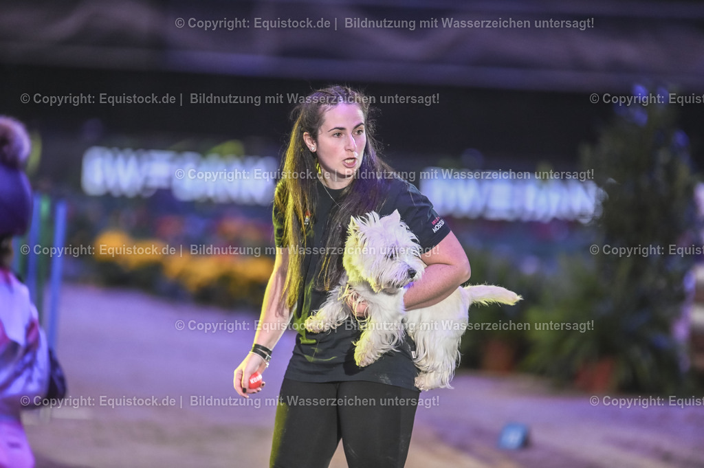 20231115_Dog-Agility_0066_TOMsPiC | Foto: Thomas Hartig