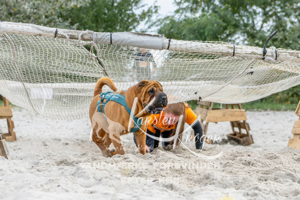 1510_ZZ93388 | kk-dogfotos