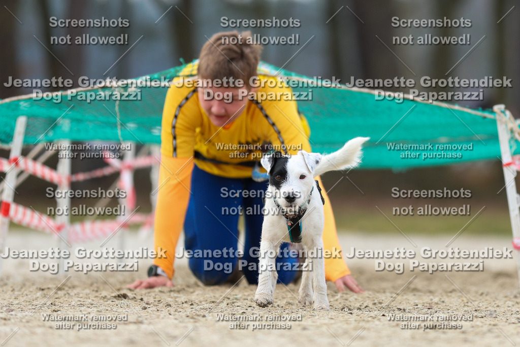Dog Paparazzi - Strongdog North Mrz26-4600 | Dog Paparazzi Jeanette Grottendiek Fotografie & Videografie - Realisiert mit Pictrs.com