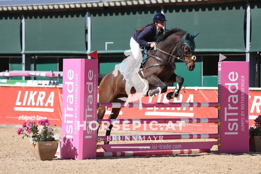 0P6A0260 | Willkommen bei Brunnmayr - Design & Fotografie – Ihrem Spezialisten für Reitturniere und Pferdeveranstaltungen in Oberösterreich, Salzburg und Bayern! Seit über 17 Jahren sind wir leidenschaftlich dabei.