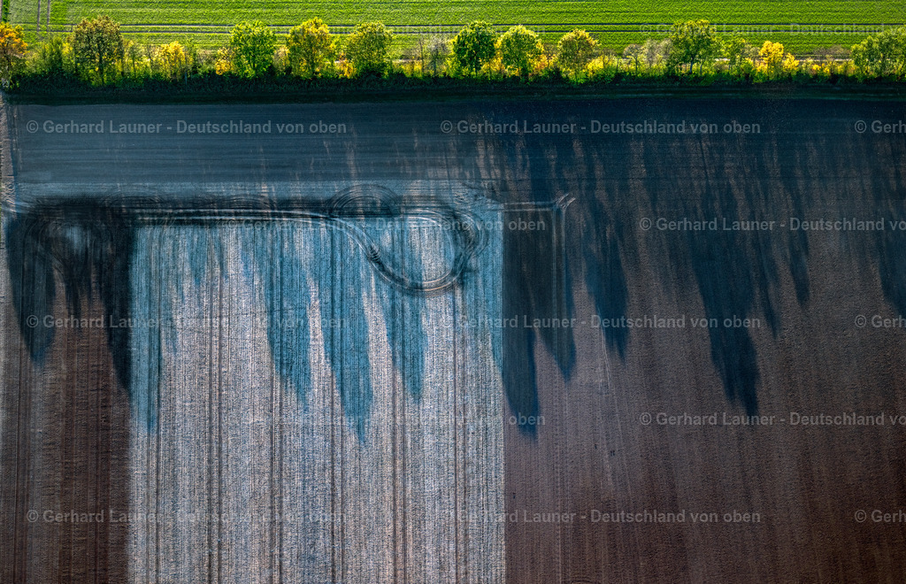 3905440 | herbstliche Bäume bei Rödelsee