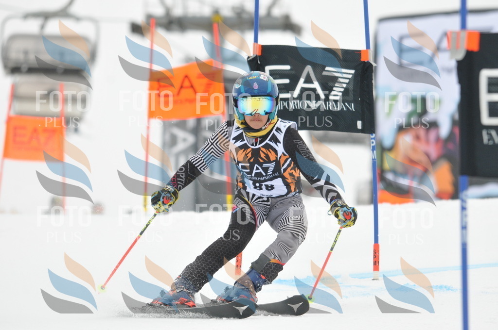 DSC_7964 | holidayphoto