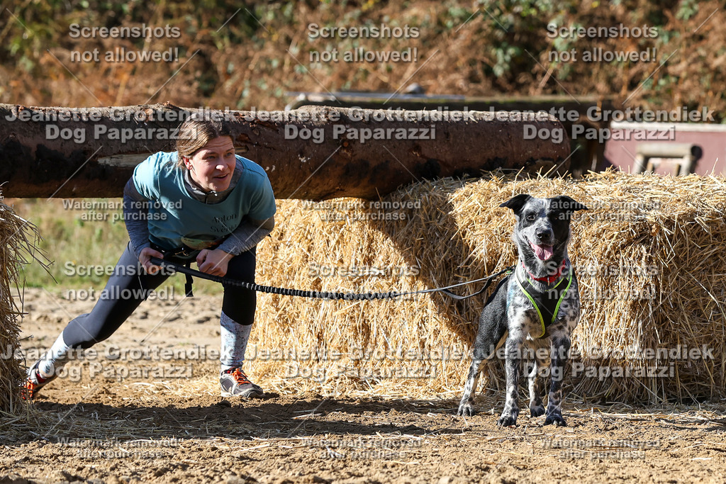 Dog Paparazzi - Strongdog 10-25-4721 | Dog Paparazzi Jeanette Grottendiek Fotografie & Videografie - Realisiert mit Pictrs.com